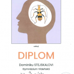 diplom